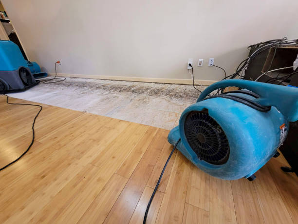 Professional Water Damage Repair technician working in Sebastopol, CA